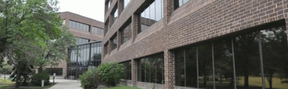 Brick building with large windows and bushes outside.