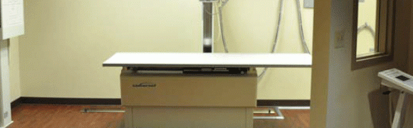 A white cat lying on a laptop keyboard, looking curious.